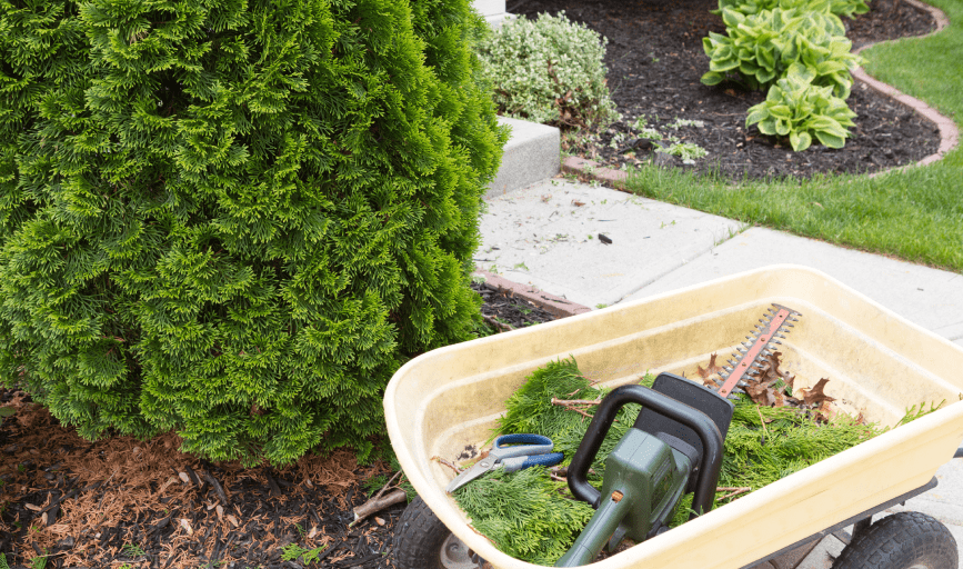 Northline Outdoor Services